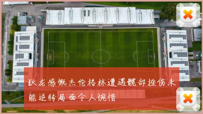 狄龙感慨杰伦格林遭遇髋部挫伤未能逆转局面令人惋惜