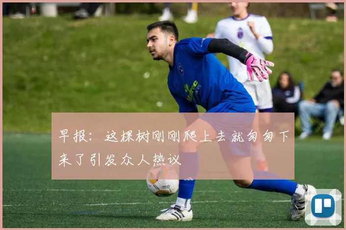 早报：这棵树刚刚爬上去就匆匆下来了引发众人热议