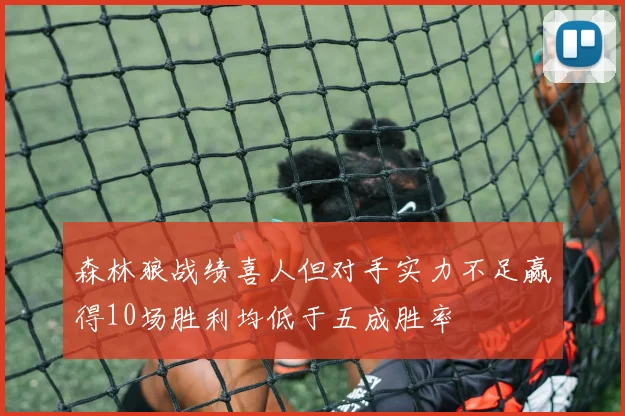 森林狼战绩喜人但对手实力不足赢得10场胜利均低于五成胜率