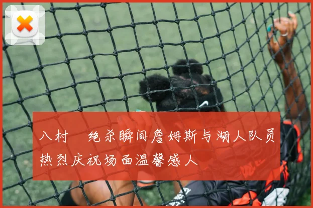 八村塁绝杀瞬间詹姆斯与湖人队员热烈庆祝场面温馨感人