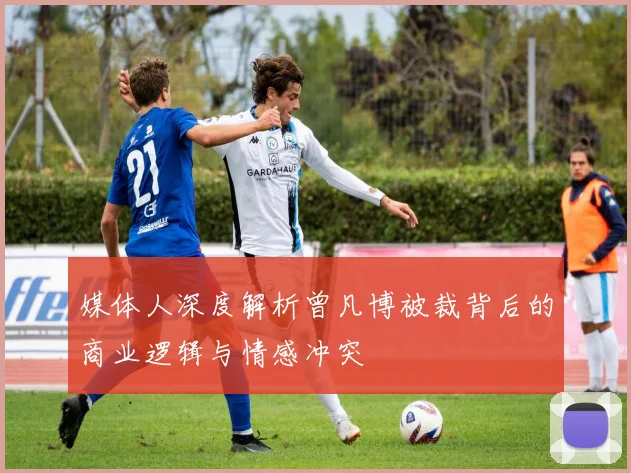 媒体人深度解析曾凡博被裁背后的商业逻辑与情感冲突